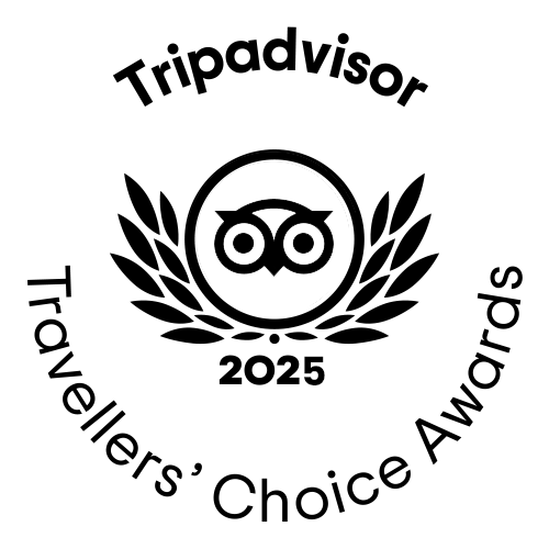 Tripadvisor Travellers' choice awards 2025 animado